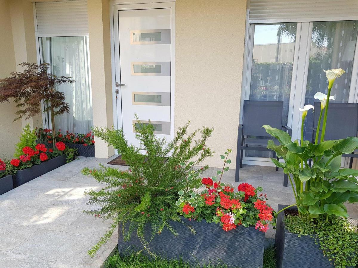 Super Studio Cosy - A 10 Min De Cdg Aeroport - A 30 Min De Paris - A 10 Min Du Salon D'Expo Villepinte 勒蒂亚莱 外观 照片